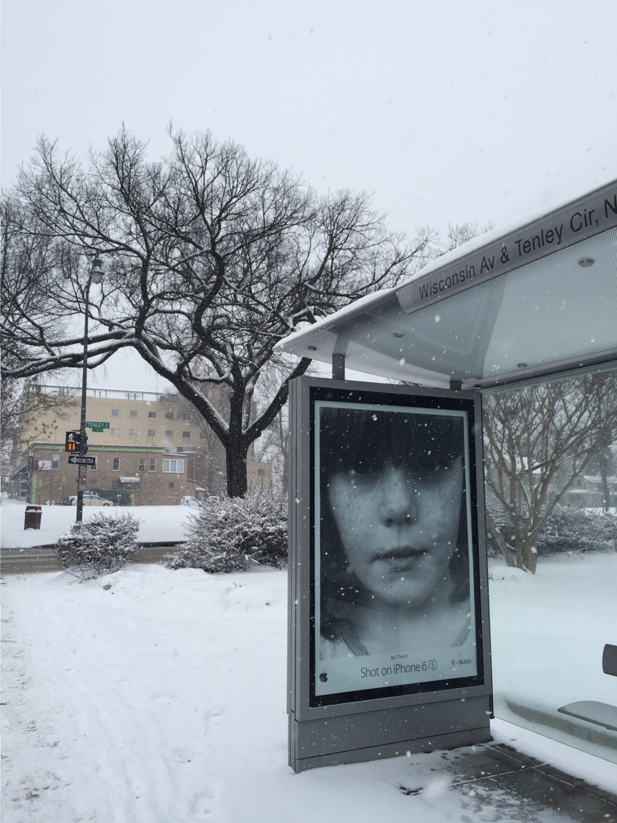 Frecklehead - Bus Stop, Washington DC